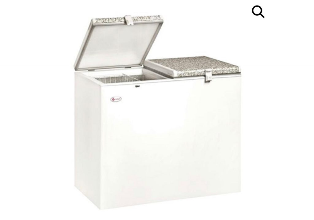 Electric and Gas Deep Freezer TC Gas